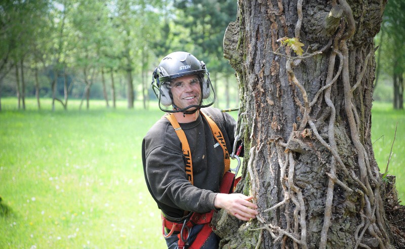 Green Scene Tree Surgery offer Hard & Soft Landscaping / Fencing / Paving / Garden Maintenance / Site Clearance / Log Sales - Cambridge - Bury St Edmunds